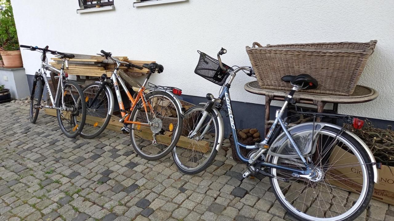 Apartment Haus Merlin Am Boeckelsberg Weimar  Buitenkant foto