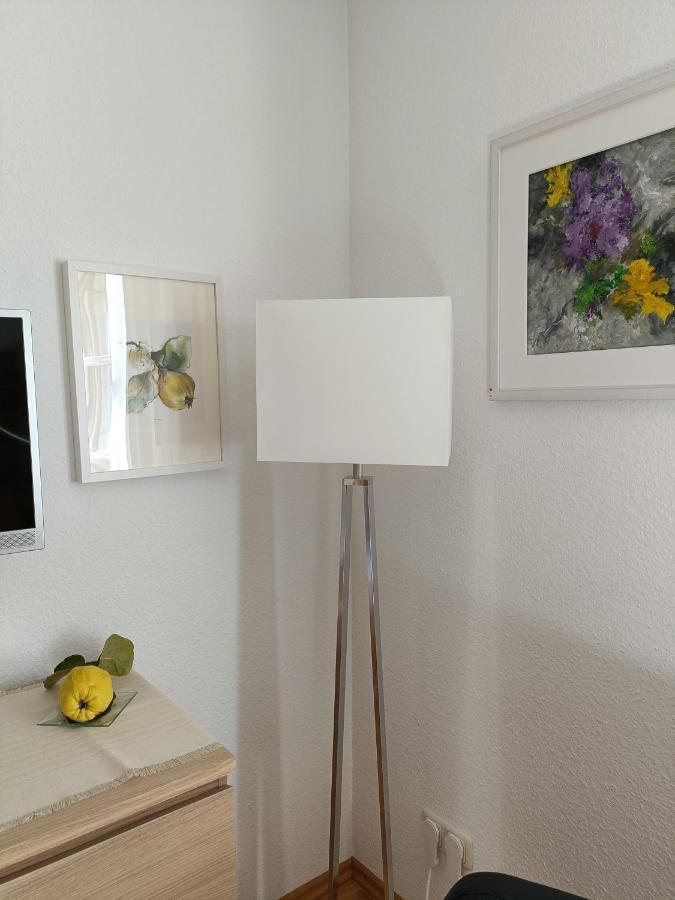 Apartment Haus Merlin Am Boeckelsberg Weimar  Buitenkant foto