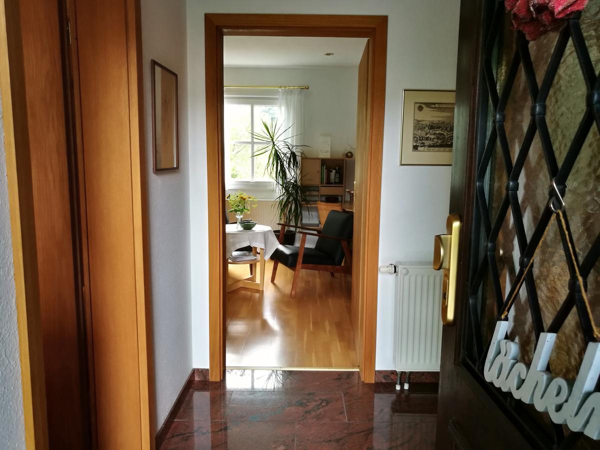 Apartment Haus Merlin Am Boeckelsberg Weimar  Buitenkant foto
