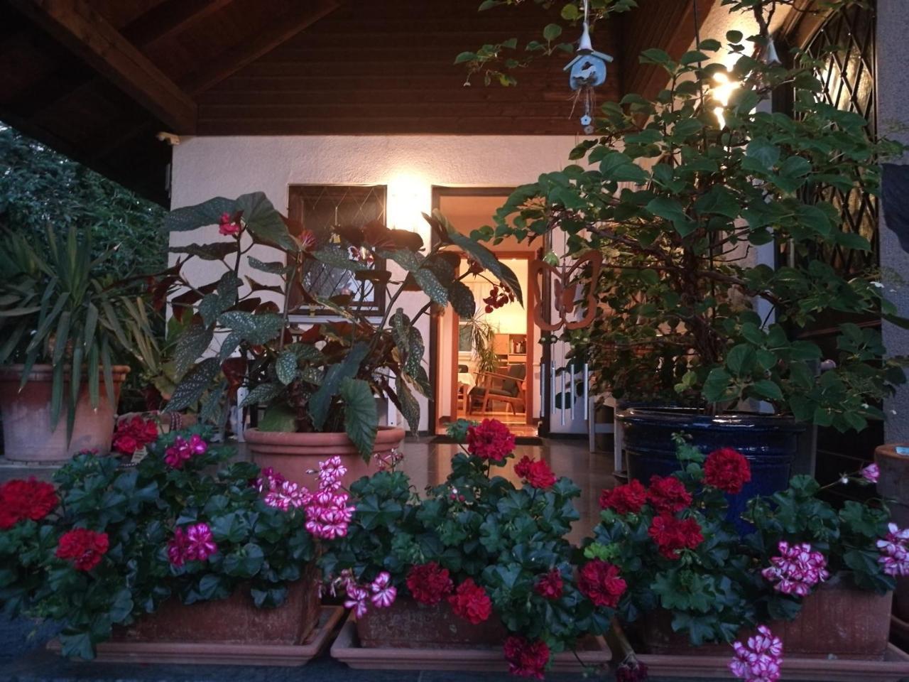 Apartment Haus Merlin Am Boeckelsberg Weimar  Buitenkant foto